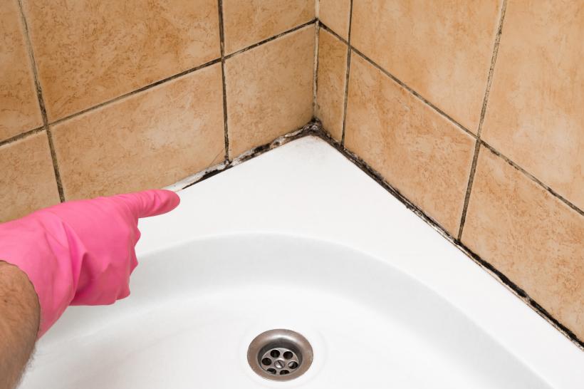 6 soluții naturale pentru a elimina mucegaiul din casă