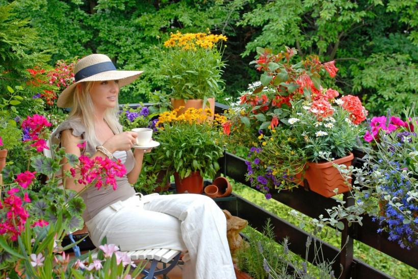 5 plante de apartament care te vor ajuta să ai un somn odihnitor