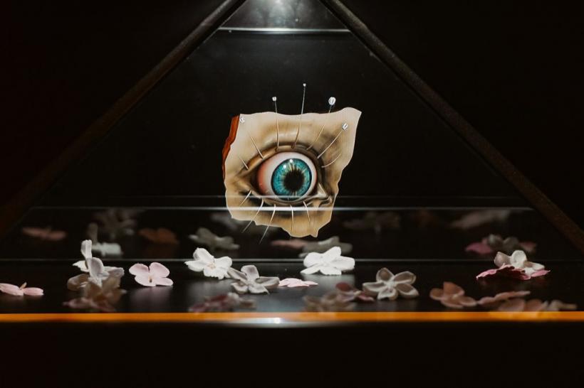 Concerte, ateliere și expoziții  la ARCUB 18906574