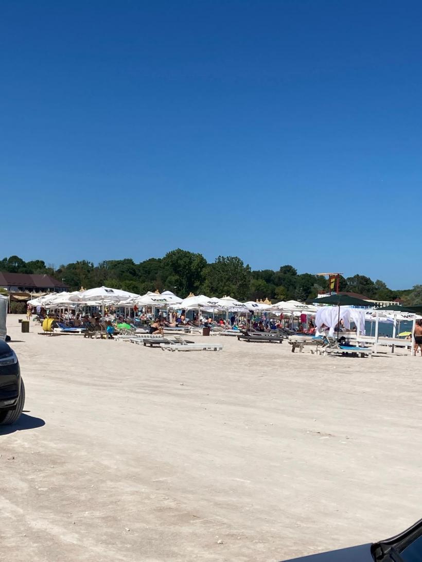 Scandalul „algelor sfinte” din sudul litoralului, lăsate să putrezească: Hotelierii și agențiile de turism acuză Mediul de sabotaj 18906698