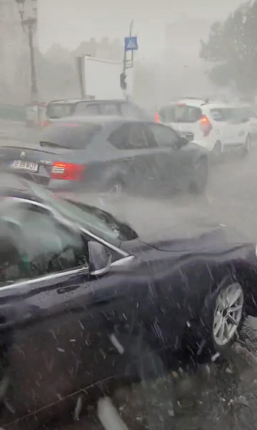 Furtună în București. Mai mulți copaci au fost doborâți. Unul a căzut pe linia de troleu 18907208