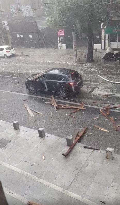 Furtună în București. Mai mulți copaci au fost doborâți. Unul a căzut pe linia de troleu 18907209