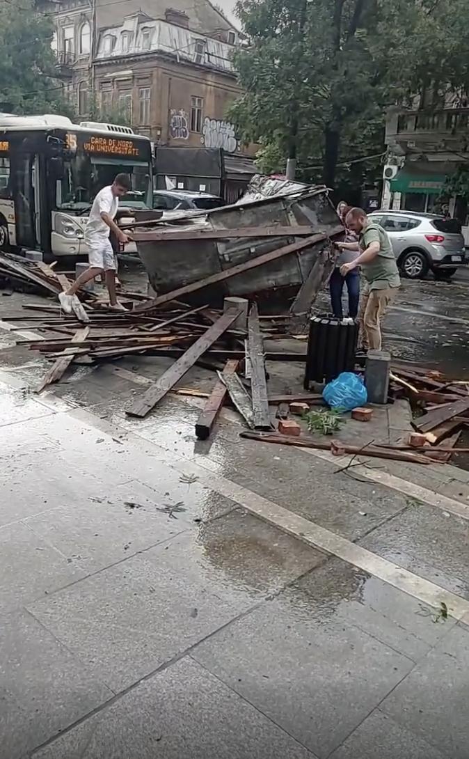 Furtună în București. Mai mulți copaci au fost doborâți. Unul a căzut pe linia de troleu 18907210