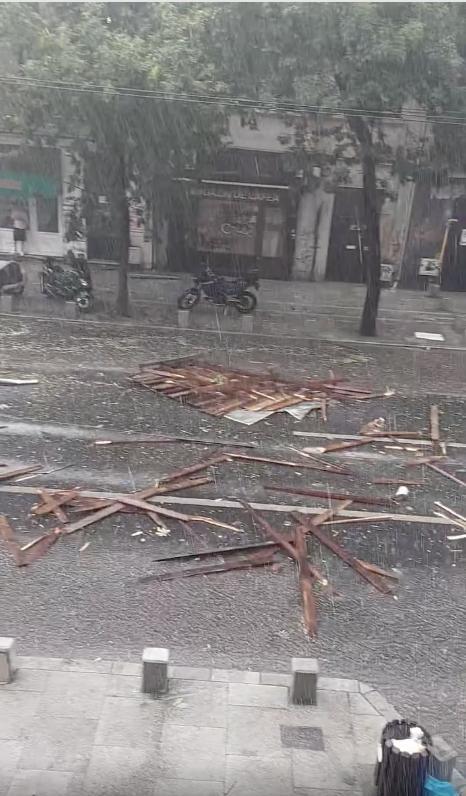 Furtună în București. Mai mulți copaci au fost doborâți. Unul a căzut pe linia de troleu 18907212