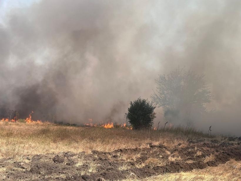 Incendiu de vegetație la Poarta Albă.  Traficul rutier pe DN 22C Murfatlar-Cernavodă a fost oprit. 10 trenuri, oprite la această oră din cauza incendiului între staţiile Basarabi şi Dorobanțu