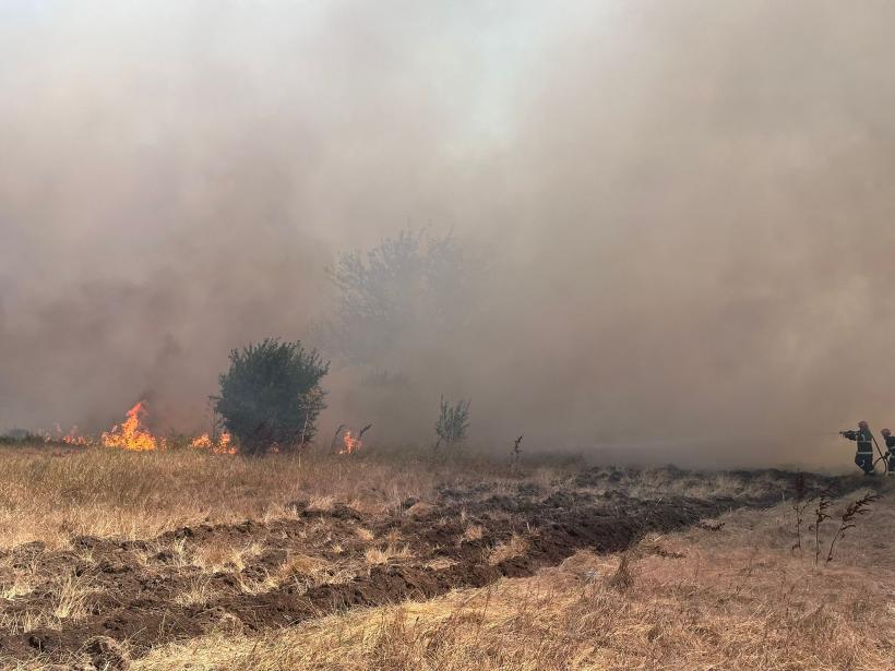 Incendiu de vegetație la Poarta Albă.  Traficul rutier pe DN 22C Murfatlar-Cernavodă a fost oprit. 10 trenuri, oprite la această oră din cauza incendiului între staţiile Basarabi şi Dorobanțu 18907338