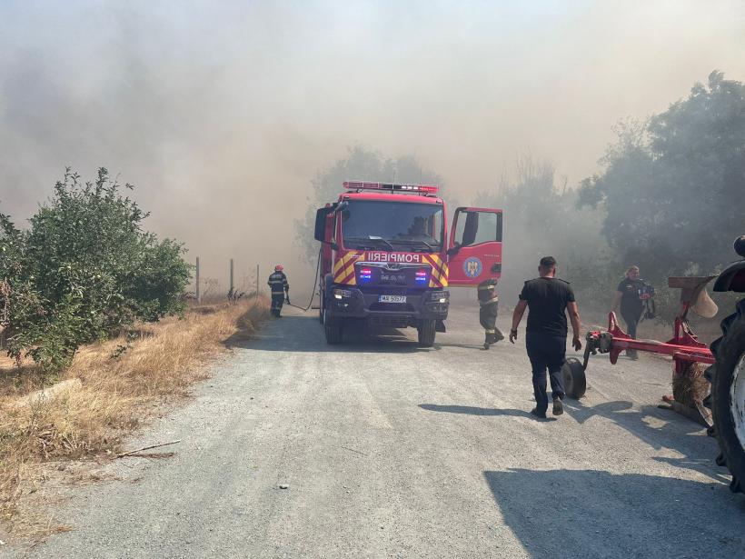 Incendiu de vegetație la Poarta Albă.  Traficul rutier pe DN 22C Murfatlar-Cernavodă a fost oprit. 10 trenuri, oprite la această oră din cauza incendiului între staţiile Basarabi şi Dorobanțu 18907339