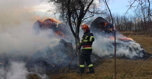 Incendiu violent la Botoșani: 13 tone de furaje s-au făcut scrum