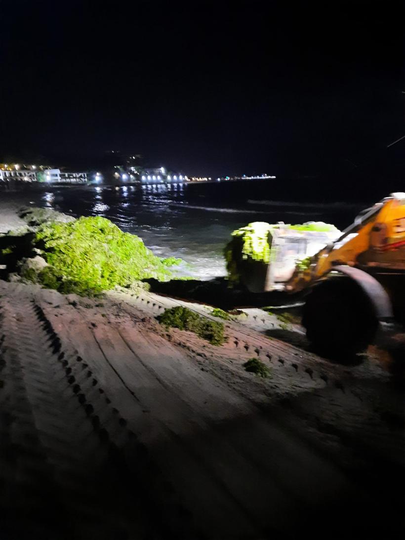 Apele Române dau vina pe caniculă pentru algele de pe litoral 18907568