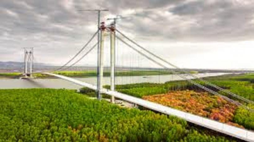 Reparații pe podul peste Dunăre de la Brăila 18907771