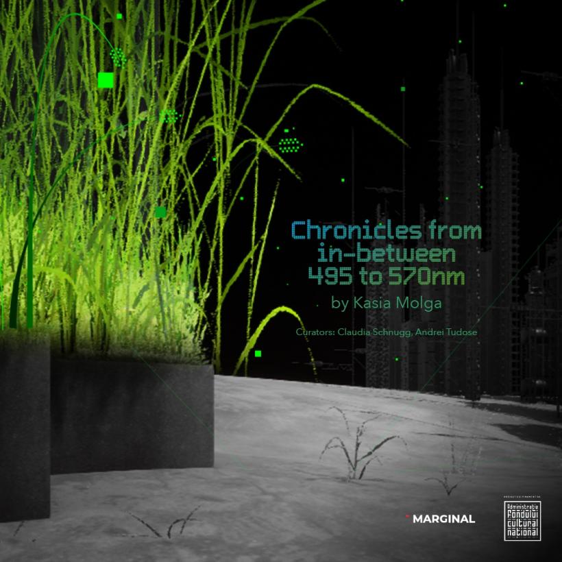 Chronicles from In-Between 495-570 nm - o cronică a lumii naturale evanescente la granița dintre artă, știință și memorie personală 18908073