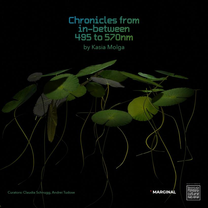 Chronicles from In-Between 495-570 nm - o cronică a lumii naturale evanescente la granița dintre artă, știință și memorie personală 18908074