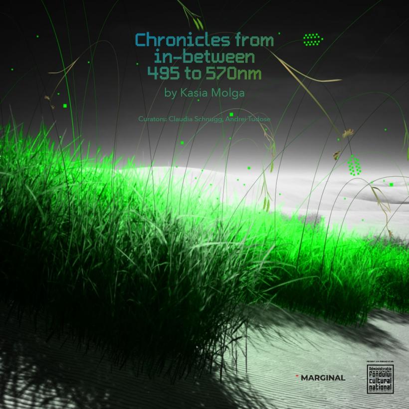 Chronicles from In-Between 495-570 nm - o cronică a lumii naturale evanescente la granița dintre artă, știință și memorie personală 18908075