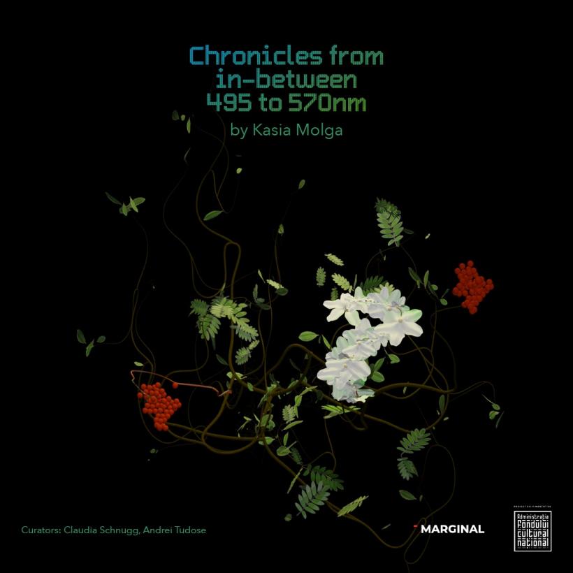 Chronicles from In-Between 495-570 nm - o cronică a lumii naturale evanescente la granița dintre artă, știință și memorie personală 18908076