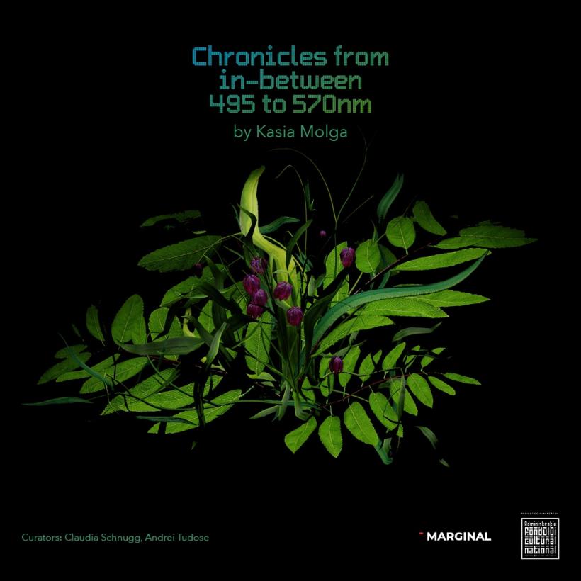 Chronicles from In-Between 495-570 nm - o cronică a lumii naturale evanescente la granița dintre artă, știință și memorie personală 18908077