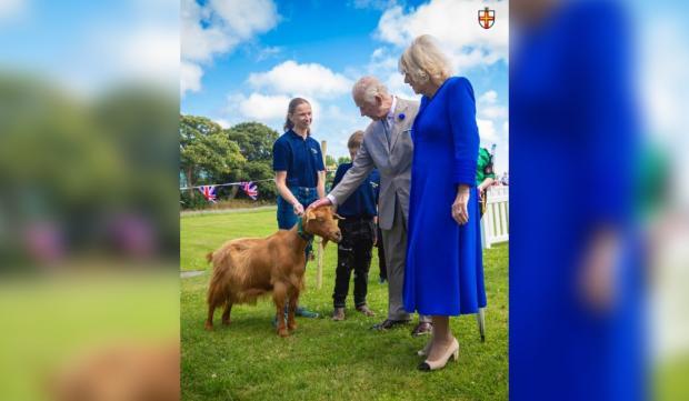 Ceremonie istorică! Regele Charles și Regina Camilla au acordat pentru prima dată un titlu regal unei capre
