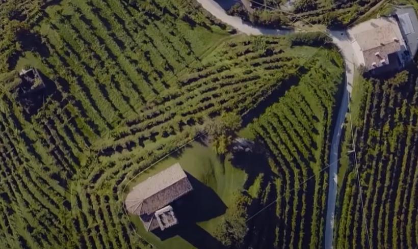 Legenda colinelor Prosecco din Italia, dealurile străvechi unde strugurii se recoltează manual de peste trei secole 18908314