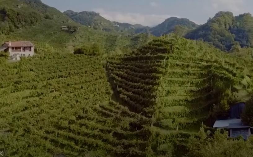 Legenda colinelor Prosecco din Italia, dealurile străvechi unde strugurii se recoltează manual de peste trei secole 18908315
