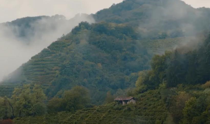 Legenda colinelor Prosecco din Italia, dealurile străvechi unde strugurii se recoltează manual de peste trei secole 18908316