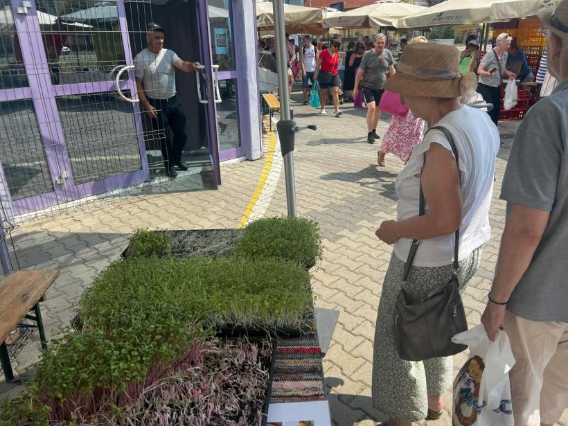 Extraordinara poveste a brăileanului supranumit "Degete Verzi" care face afaceri din microplante, „bombele” cu vitamine 18909384