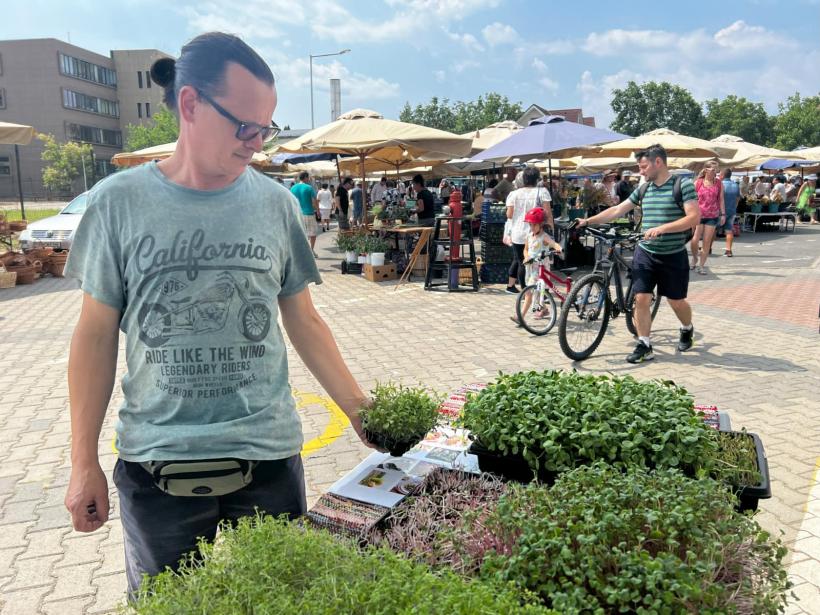 Extraordinara poveste a brăileanului supranumit "Degete Verzi" care face afaceri din microplante, „bombele” cu vitamine 18909385