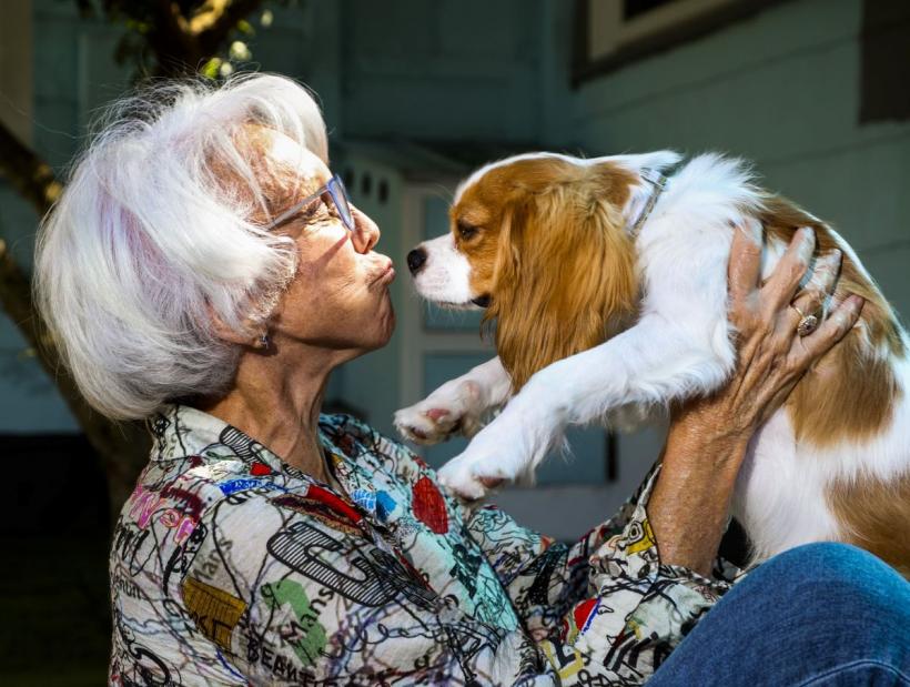 Câinii perfecți pentru viața în apartament: Alegerea ideală pentru un spațiu mic 18909346