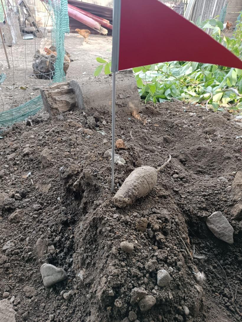 Șoc pentru un bărbat din Botoșani: A săpat în grădină și a dat de o bombă 18910746