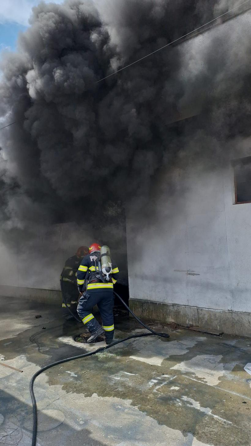 Incendiu cu degajări mari de fum la un depozit din Costinești 18911020