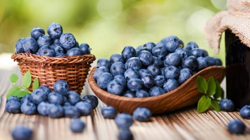 6 „aripioare” pentru o viață bună 18911046