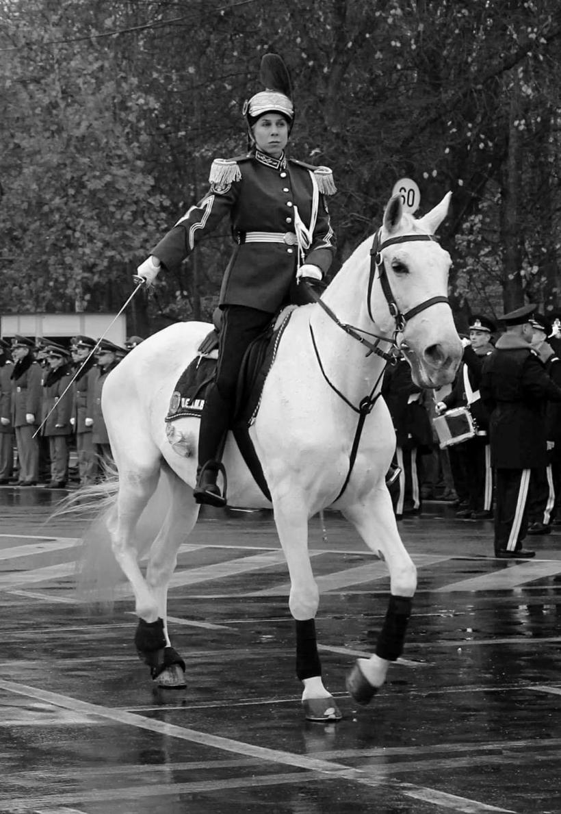 A murit Rita, cel mai iubit cal al Jandarmeriei Române: Se uita în ochii mei și îi curgeau lacrimile 18911370