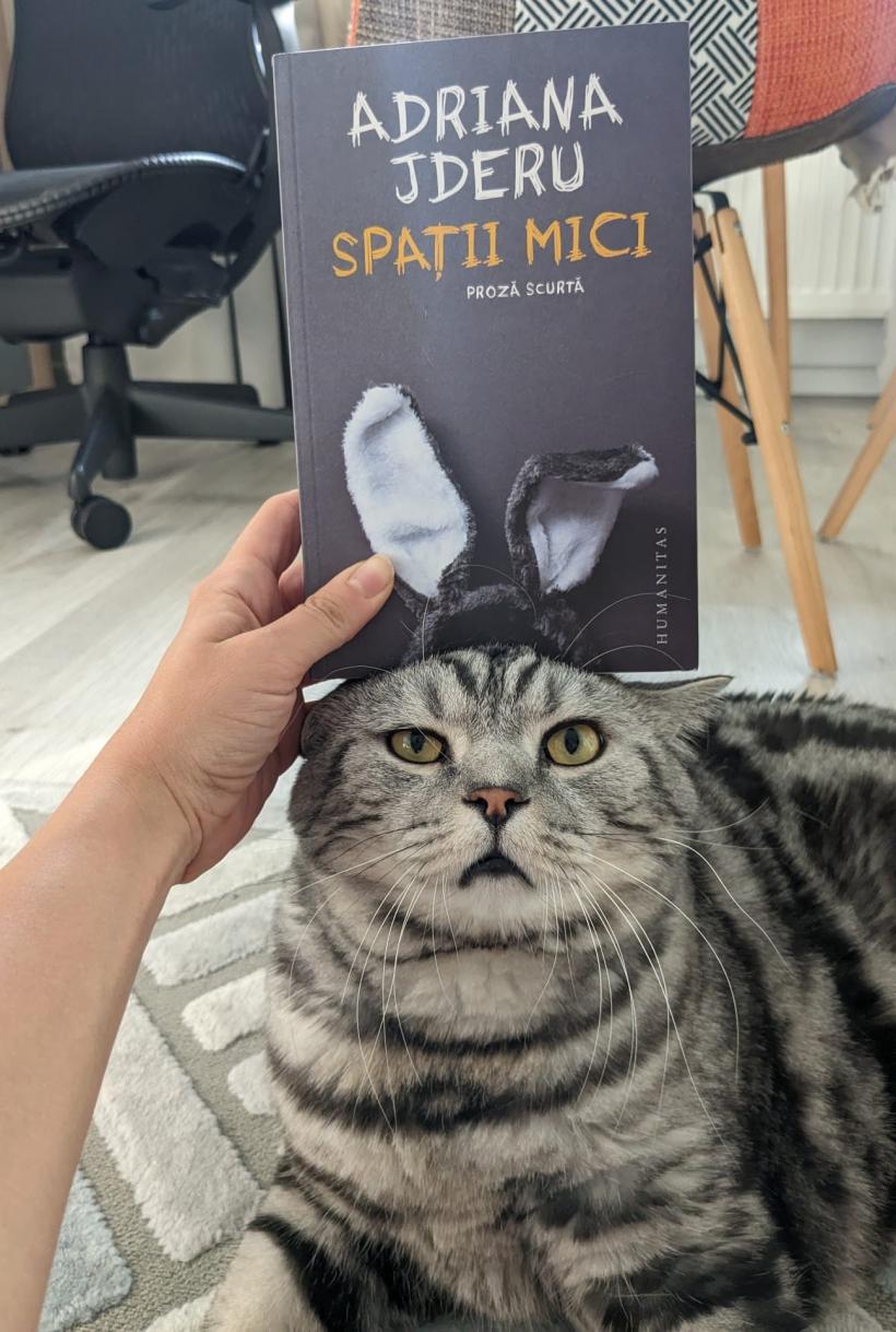 Cum să mănânci gras pentru a rămâne slab: Alimentele care elimină grăsimea în mod natural 18911219