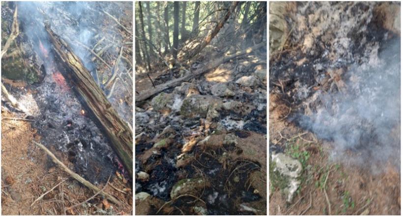 Incendiu în masivul Buila: A luat foc vegetația uscată la peste 1.500 de metri altitudine 