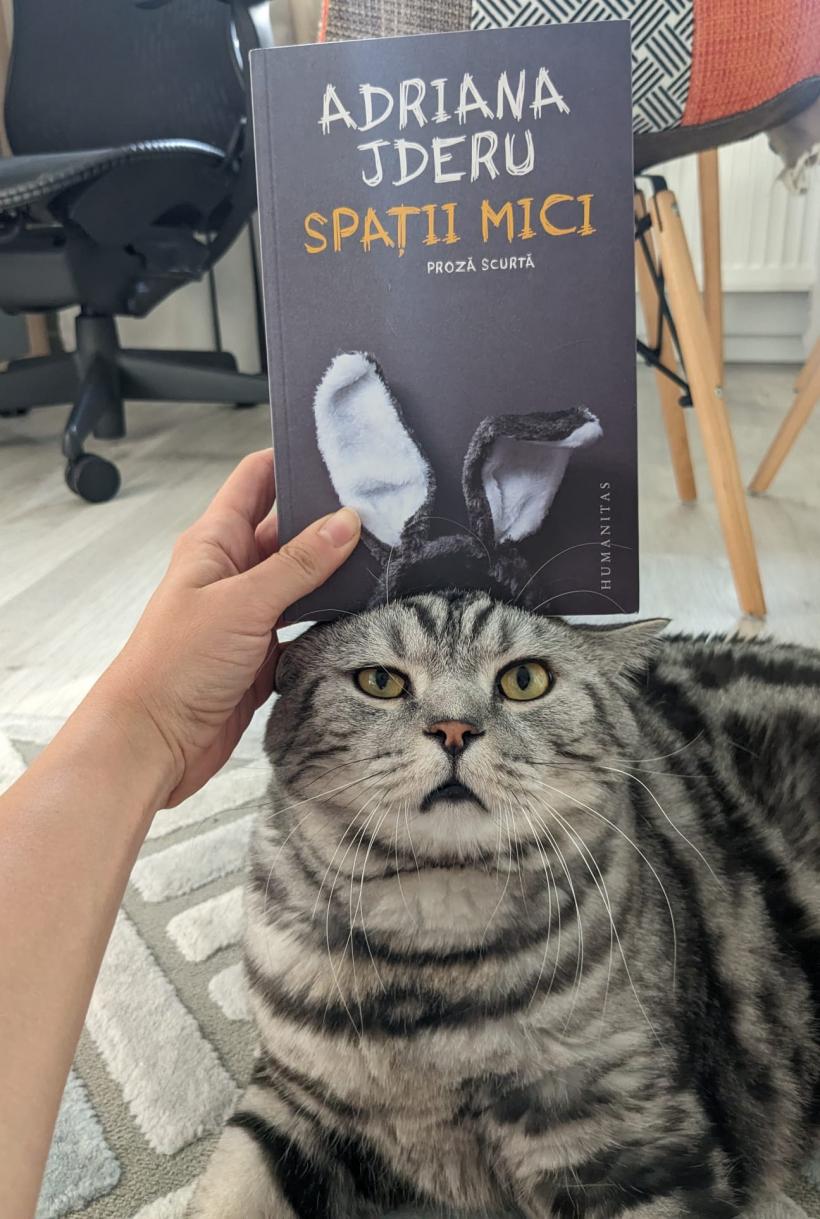 Șuetă cu „Jderoaica de București”, aka Adriana Jderu (scriitoare și librăreasă la „Verona”). ​​​​​​​5 ani de muncă pentru 32 de lei: „Scriu și dacă nu mă plătește nimeni!” 18911966