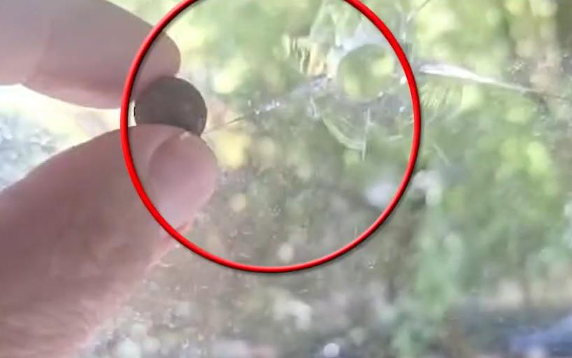 Vasile Barbu, președintele Asociației Pacienților: am primit un glonț în fereastră și multe amenințări, după dezvăluirile de la Spitalul Pantelimon 18912196