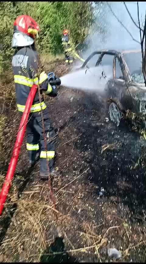 Două mașini au ars în urma unui incendiu de vegetație 18912590