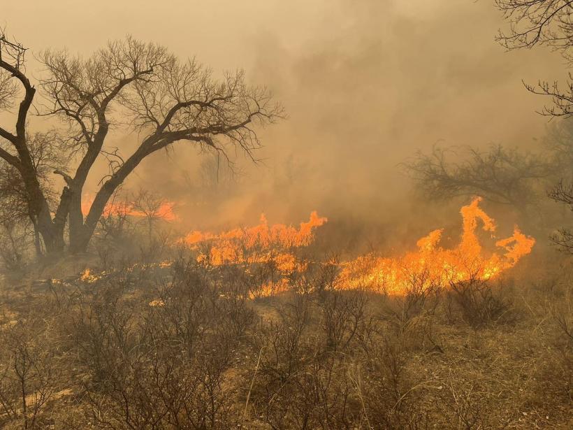 Trafic blocat pe șoseaua dintre Craiova și Caracal din cauza unui incendiu de vegetație