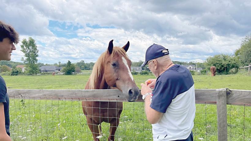 Utilul și plăcutul, la margine de oraș 18912608