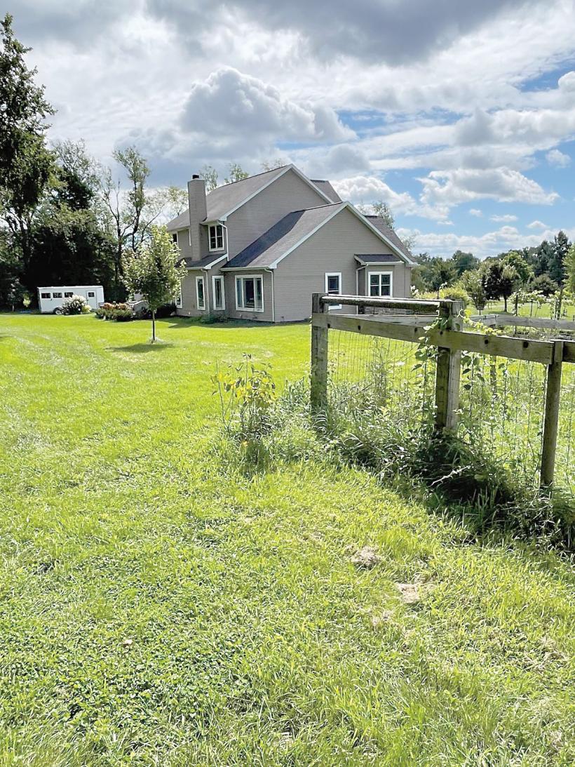 Utilul și plăcutul, la margine de oraș 18912609