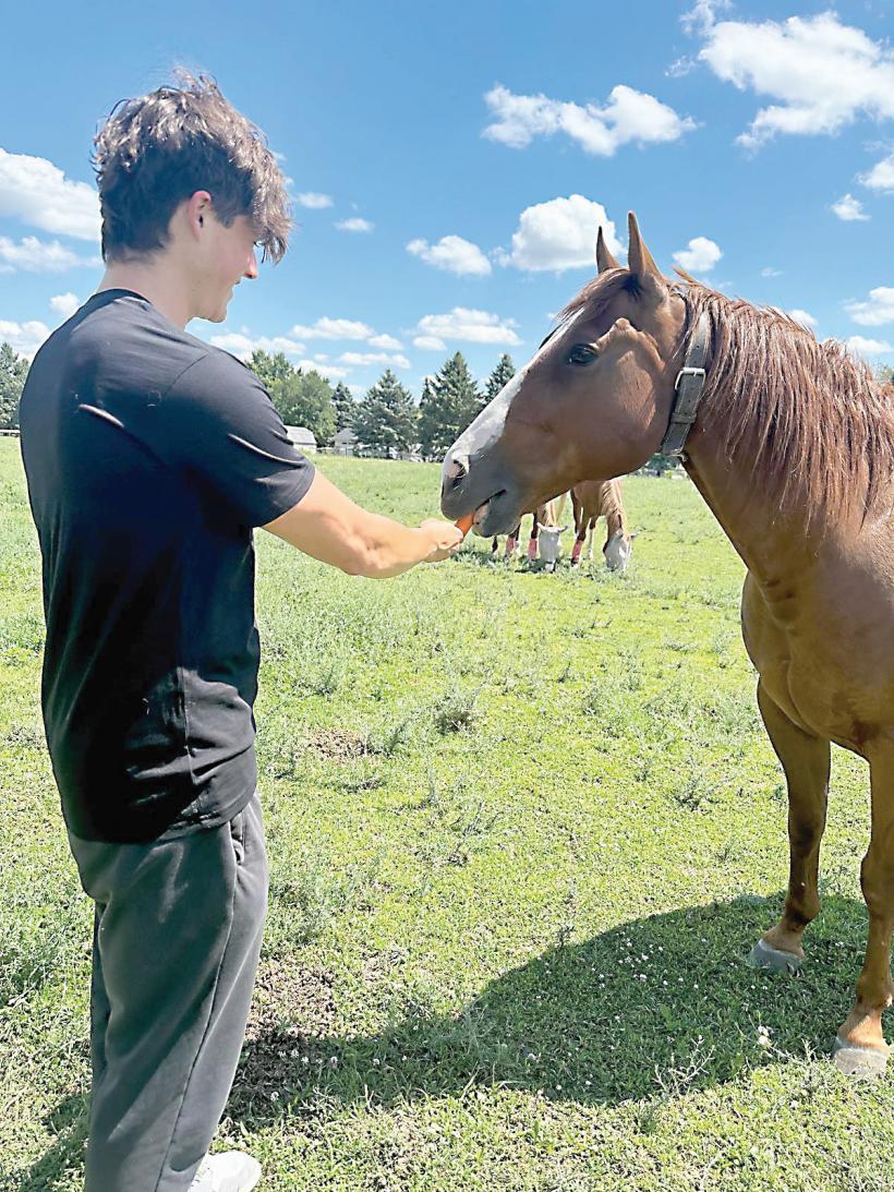 Utilul și plăcutul, la margine de oraș 18912611