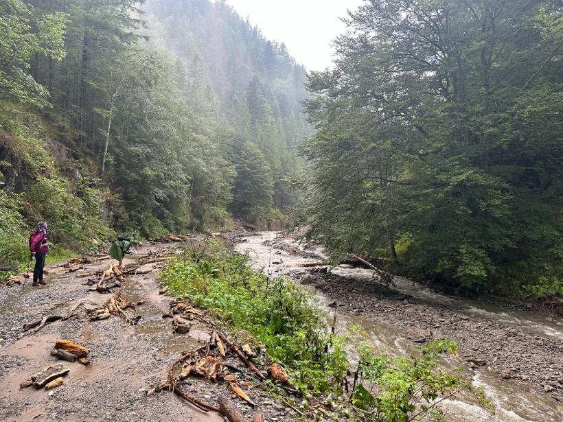 Misiune finalizată cu succes: 76 de turiști blocați pe munte, inclusiv doi polonezi, coborâți în siguranță de pe traseul Vârfului Moldoveanu 18912994