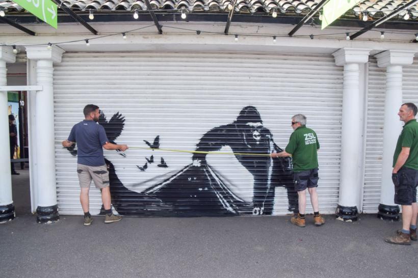 Opera cu gorilă a celebrului Banksy, îndepărtată de la grădina zoologică din Londra  18912998