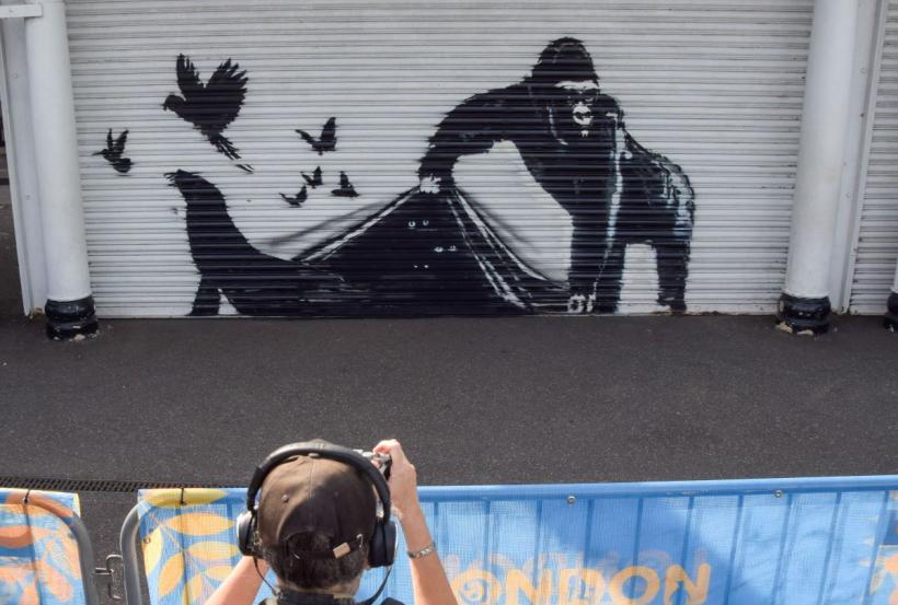 Opera cu gorilă a celebrului Banksy, îndepărtată de la grădina zoologică din Londra  18912999