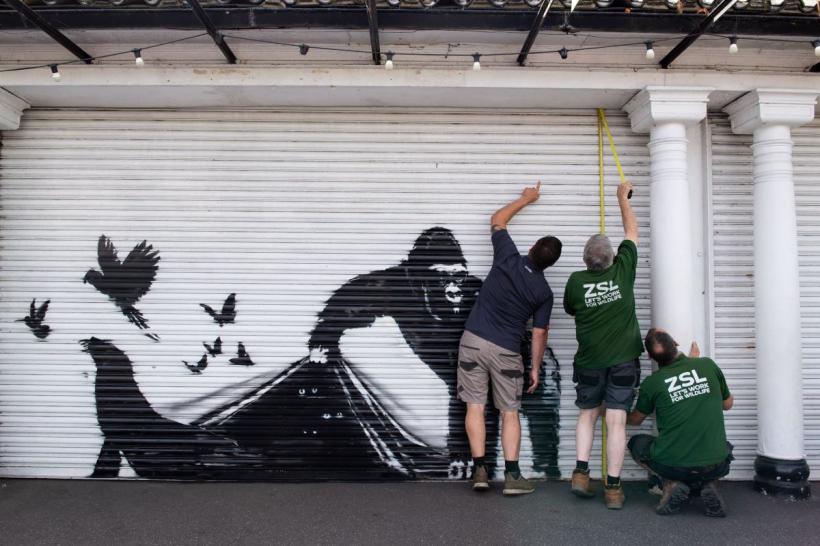 Opera cu gorilă a celebrului Banksy, îndepărtată de la grădina zoologică din Londra  18913000