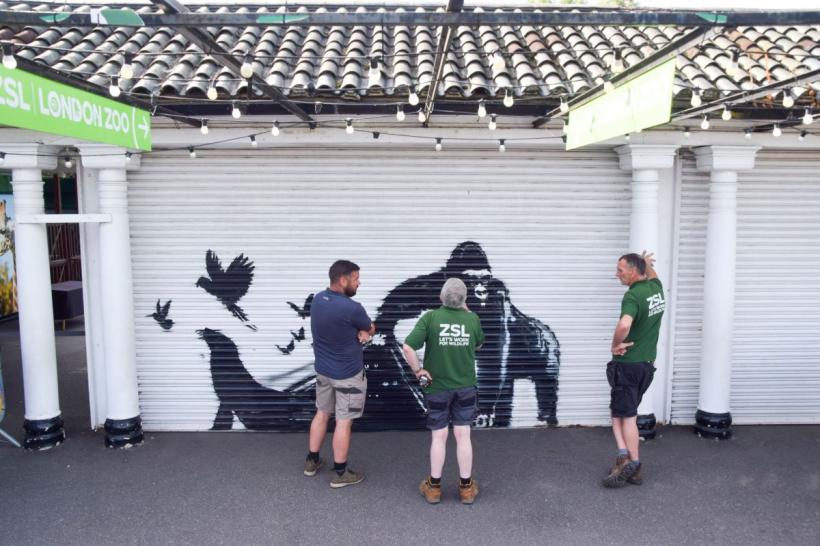 Opera cu gorilă a celebrului Banksy, îndepărtată de la grădina zoologică din Londra  18913002
