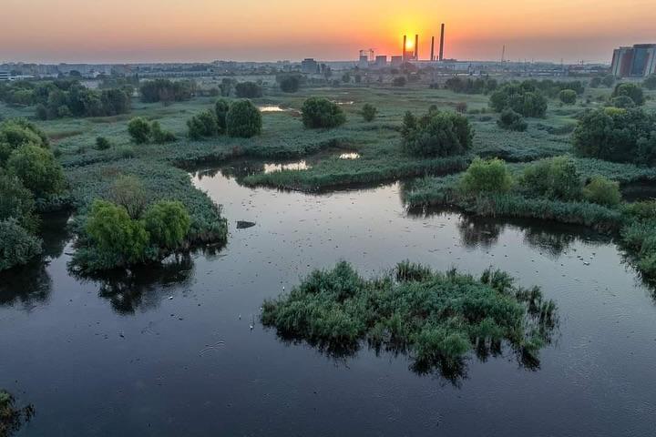 Vara verde în Văcărești, evenimente pentru toate vârstele 18912825