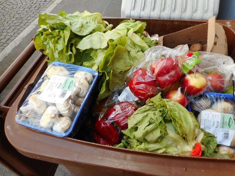 Record greu de atins. Legea compostului, de patru ani fără norme de aplicare 18912981