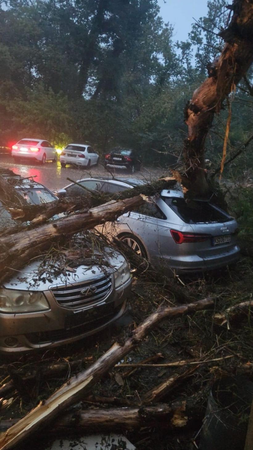 Furtună violentă în municipiul Iaşi: zeci de cetățeni au apelat 112 18914500