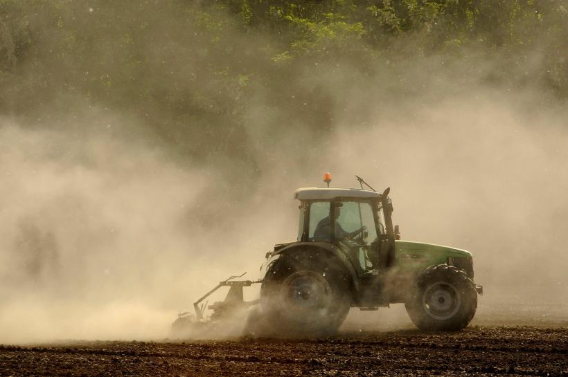 Dezastru istoric: România și-a „teleportat” o ramură agricolă cu 100 de ani înapoi. 10 motive care țin captivă agricultura românească 18914292