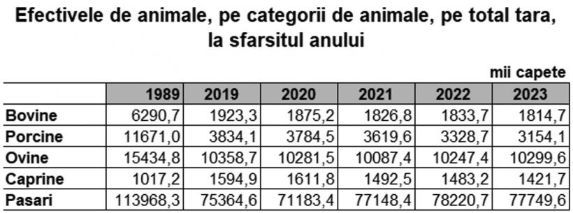 Dezastru istoric: România și-a „teleportat” o ramură agricolă cu 100 de ani înapoi. 10 motive care țin captivă agricultura românească 18914303
