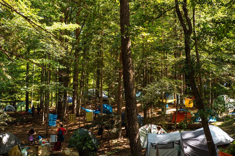 Vadoo Fest 2024, armonia perfectă între natură și muzică. Festivalul anunță ediția din 2025 18914459